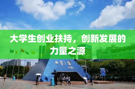 大学生创业扶持，创新发展的力量之源