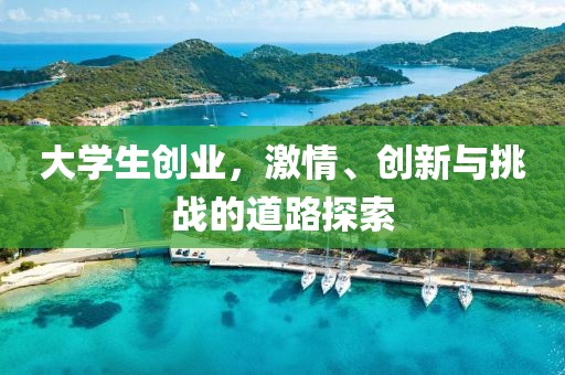 山西瑞龙峰商贸有限公司 第209页