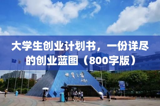 大学生创业计划书，一份详尽的创业蓝图（800字版）