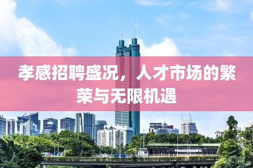 孝感招聘盛况，人才市场的繁荣与无限机遇