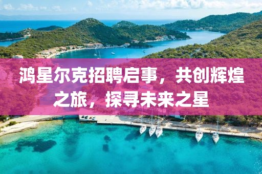 鸿星尔克招聘启事，共创辉煌之旅，探寻未来之星