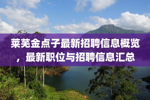 莱芜金点子最新招聘信息概览，最新职位与招聘信息汇总