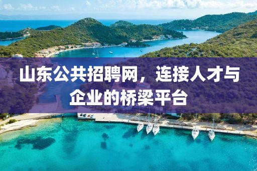 山东公共招聘网，连接人才与企业的桥梁平台