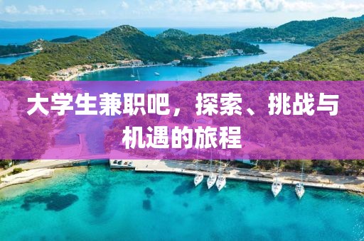 大学生兼职吧，探索、挑战与机遇的旅程