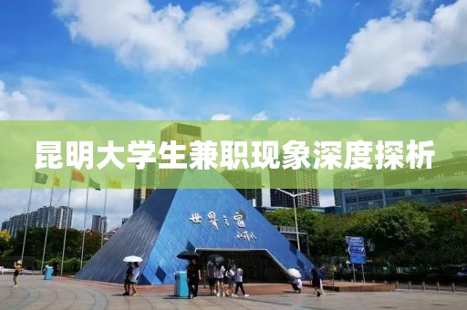 昆明大学生兼职现象深度探析